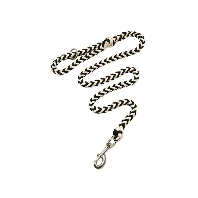 Grand collier et laisse pour chien lumineux anti-traction faits à la main