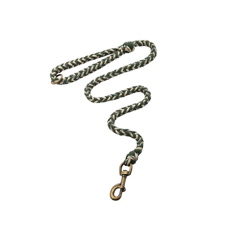 Grand collier et laisse pour chien lumineux anti-traction faits à la main