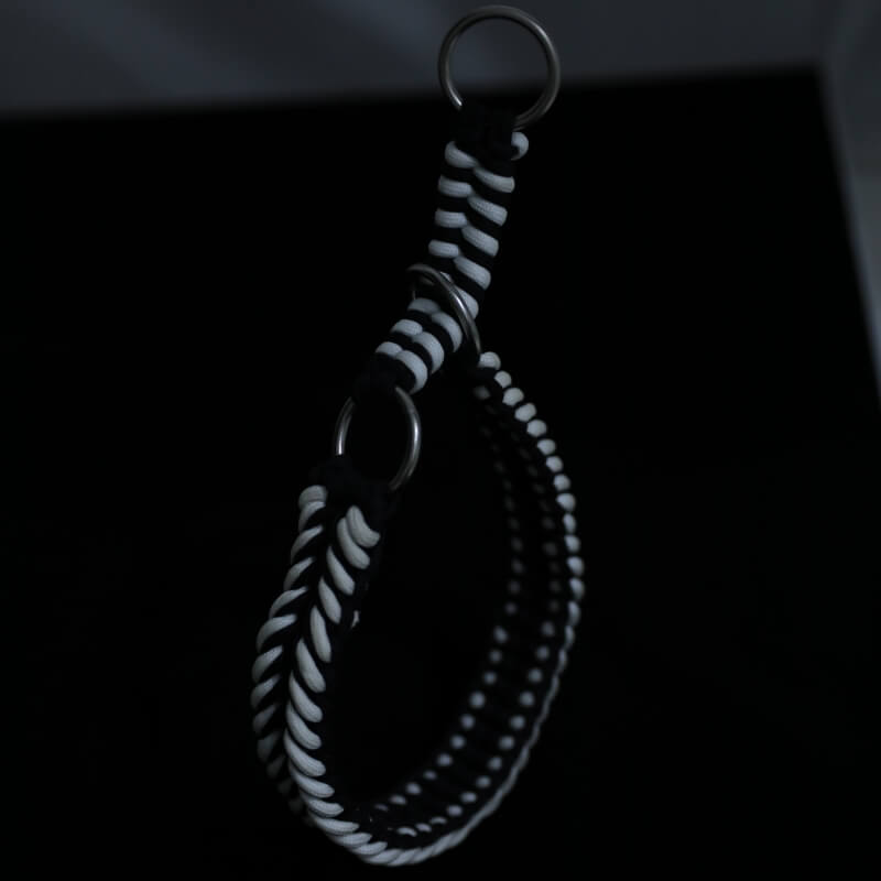 Grand collier et laisse pour chien lumineux anti-traction faits à la main