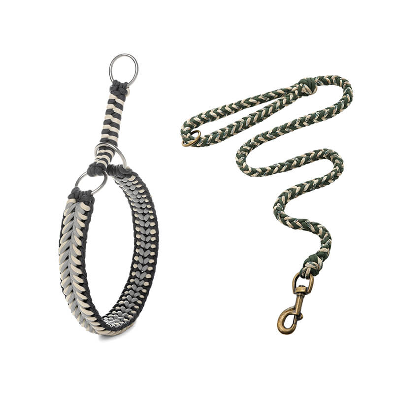 Grand collier et laisse pour chien lumineux anti-traction faits à la main