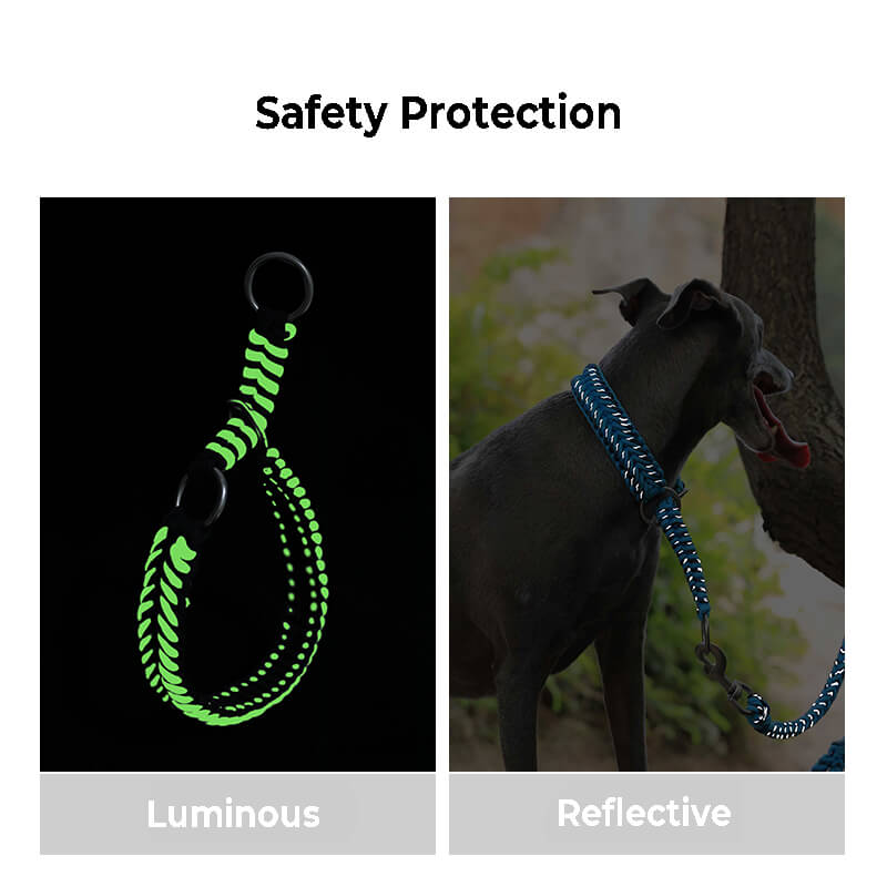 Grand collier et laisse pour chien lumineux anti-traction faits à la main