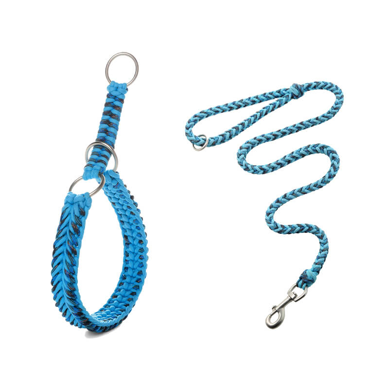 Grand collier et laisse pour chien lumineux anti-traction faits à la main