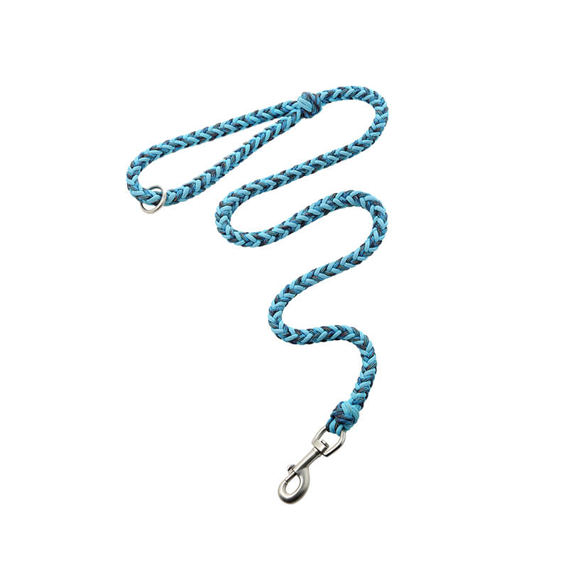 Grand collier et laisse pour chien lumineux anti-traction faits à la main