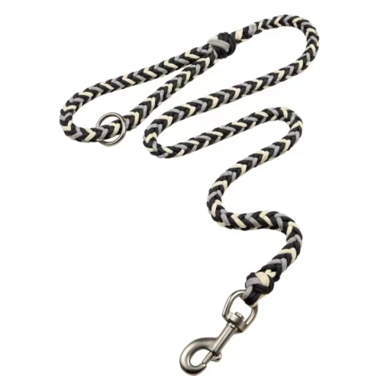 Grand collier et laisse pour chien lumineux anti-traction faits à la main