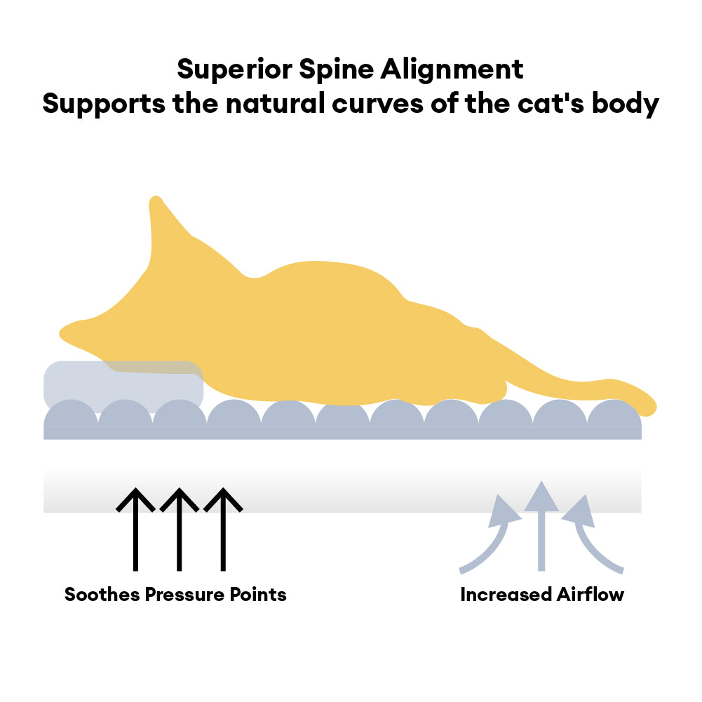 Bed de Golster de gato ortopédico de soporte de apoyo grande y grande - Naper nublado