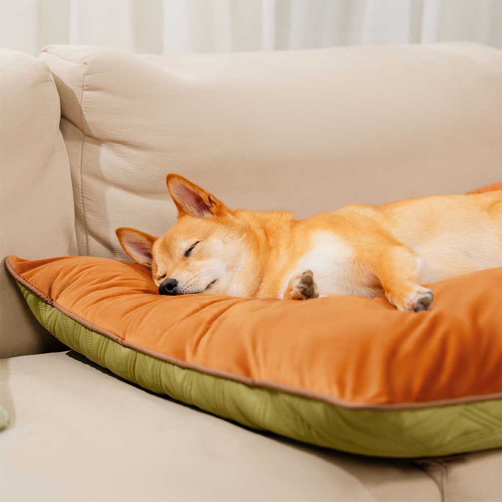 Alfombra de perros calmante de doble cara repelente de agua de lujo