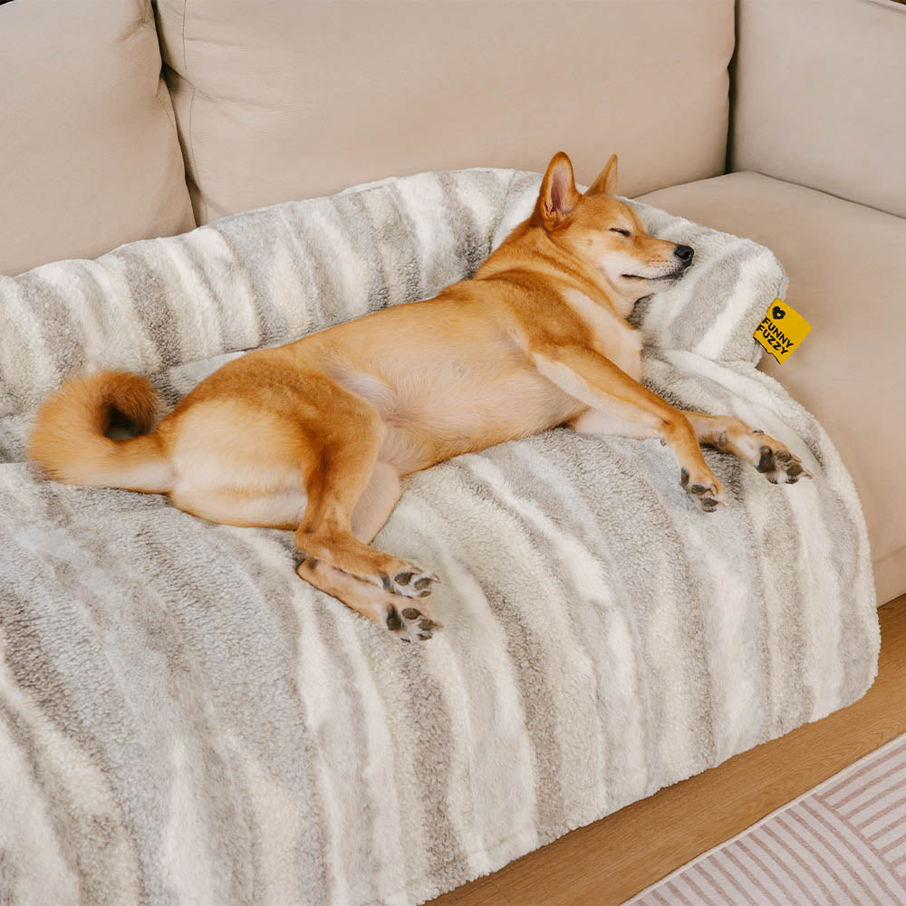 Matín de perro de sofá sofá de lujo nórdico - Pawlune