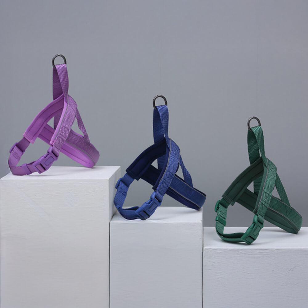 Nylon ajustable reflectante sin pulir arnés de perro y correa