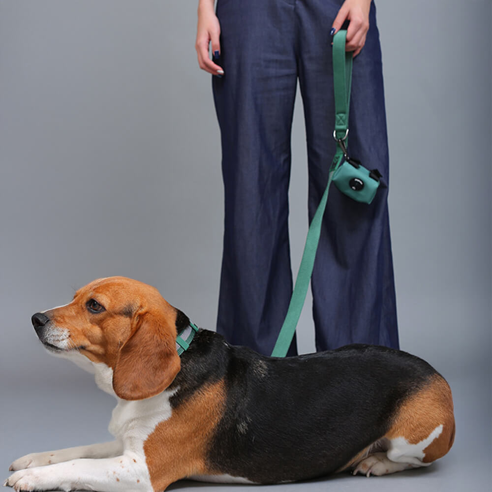 Nylon ajustable reflectante sin pulir arnés de perro y correa