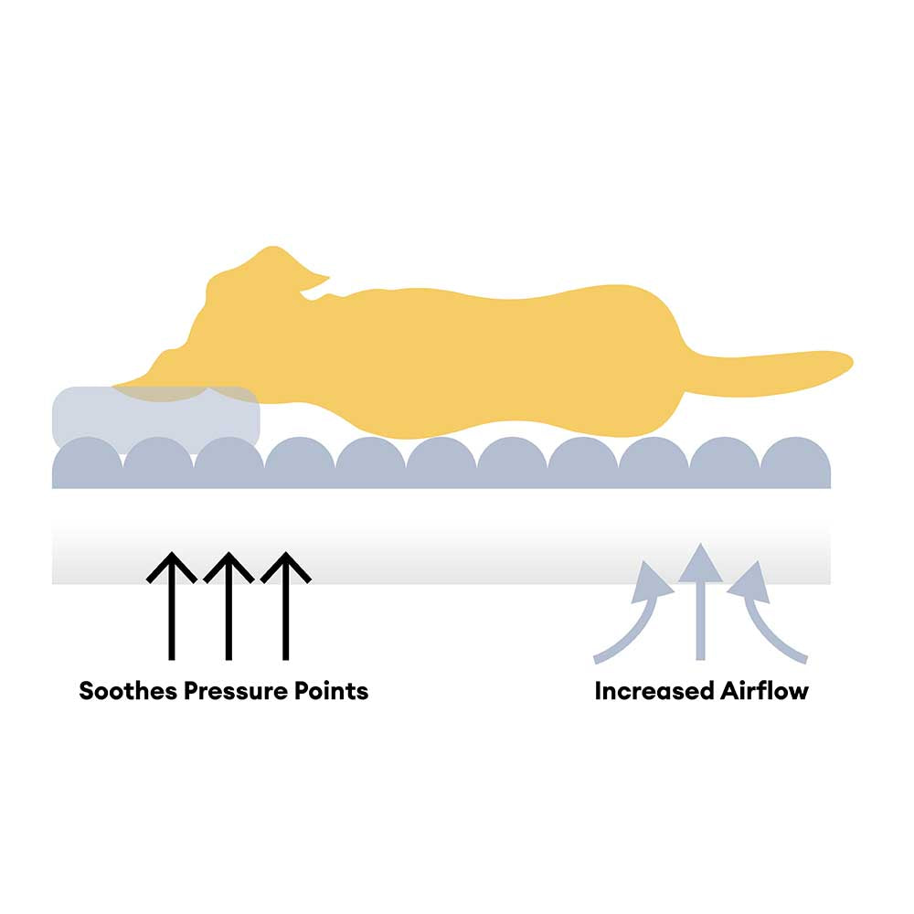 Lenfuga esponjosa grande ortopédico humano-perro Bolster cama de refrescos