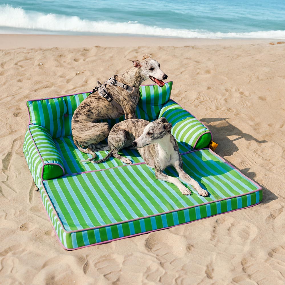 Cama de sofá de perros plegable de perros plegable impermeable de rayas - siesta soleada