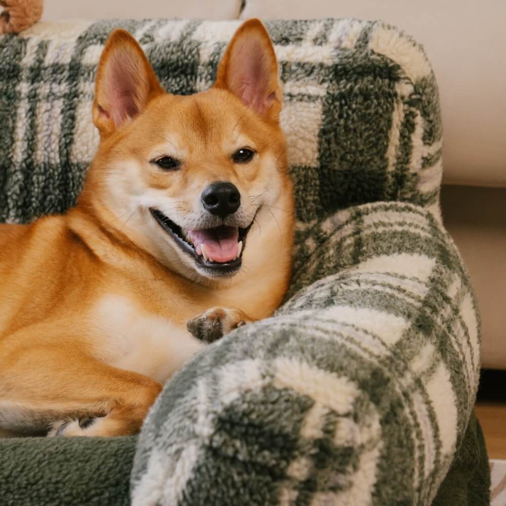 Vintage Checkered Washable Cozy Support Calming Dog & Cat Sofa Bed