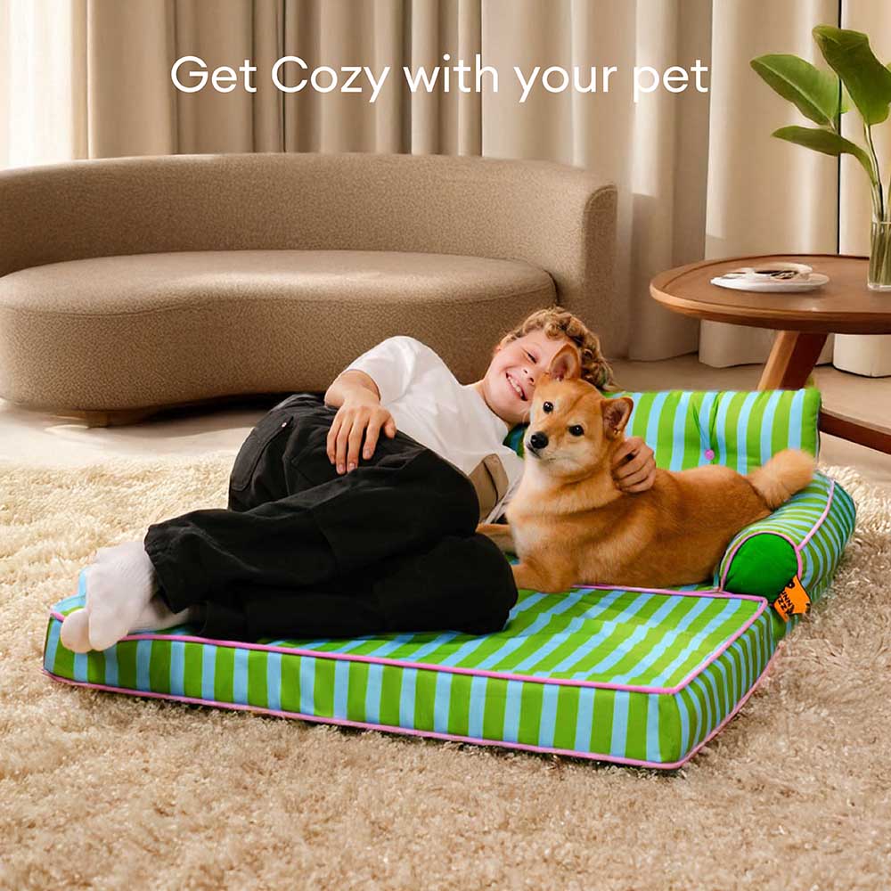 Cama de sofá de perros plegable de perros plegable impermeable de rayas - siesta soleada