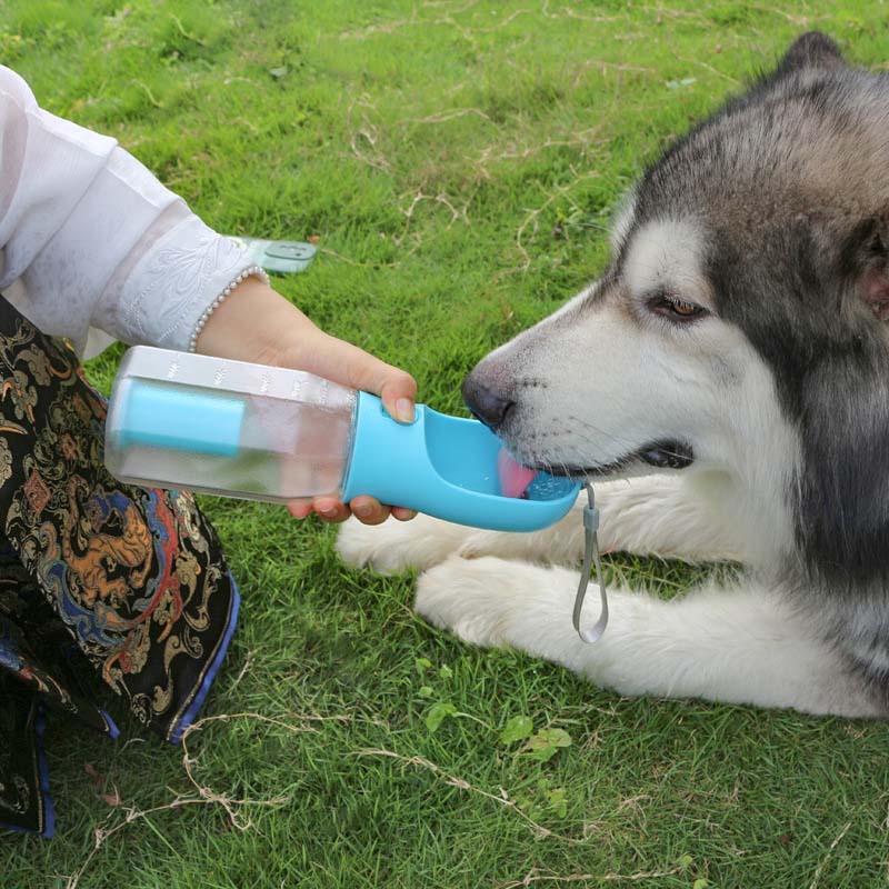3 en 1 botella de agua portátil de perros portátiles multifuncionales