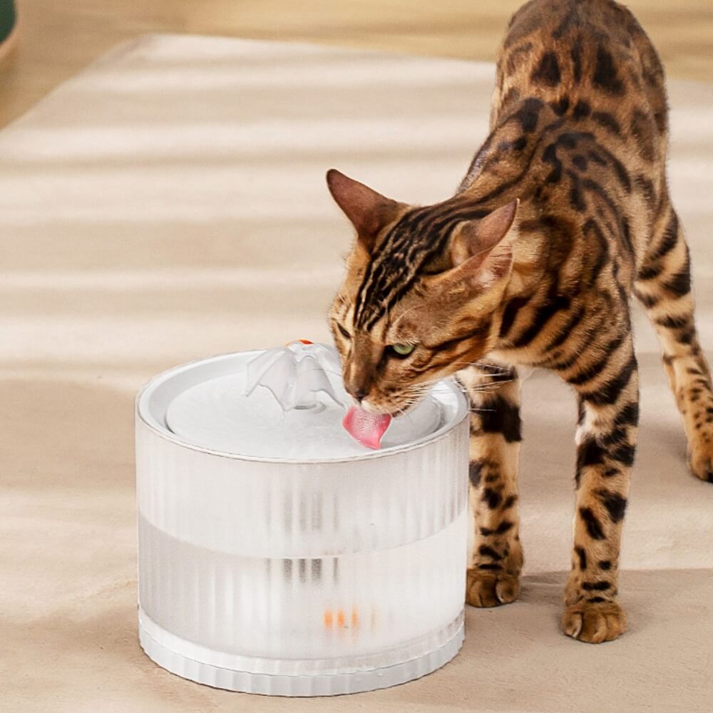 Antileakage Automatic Cycle Pet Smart Water Dispenser FunnyFuzzy