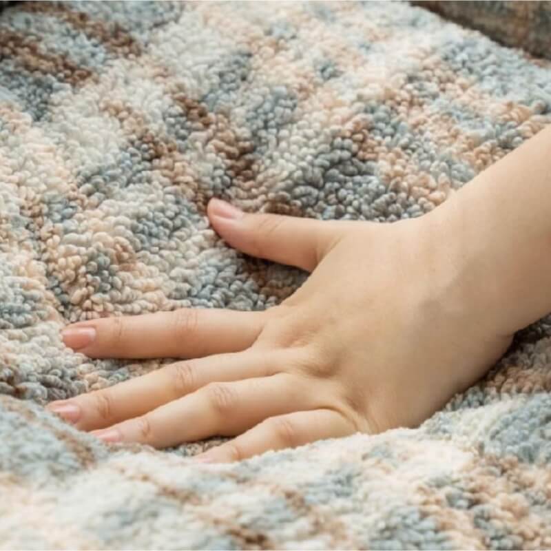 Camino de sofá de perros y gatos de lujoso vacaciones de vacaciones de vacaciones