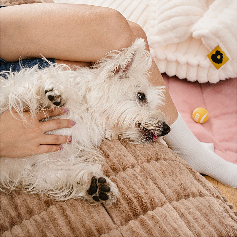 Cubiertas de sofá sin deslizamiento de franela suave y transpirable