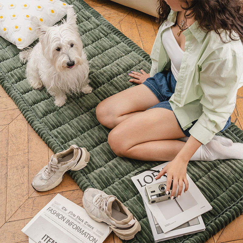 Cubiertas de sofá sin deslizamiento de franela suave y transpirable