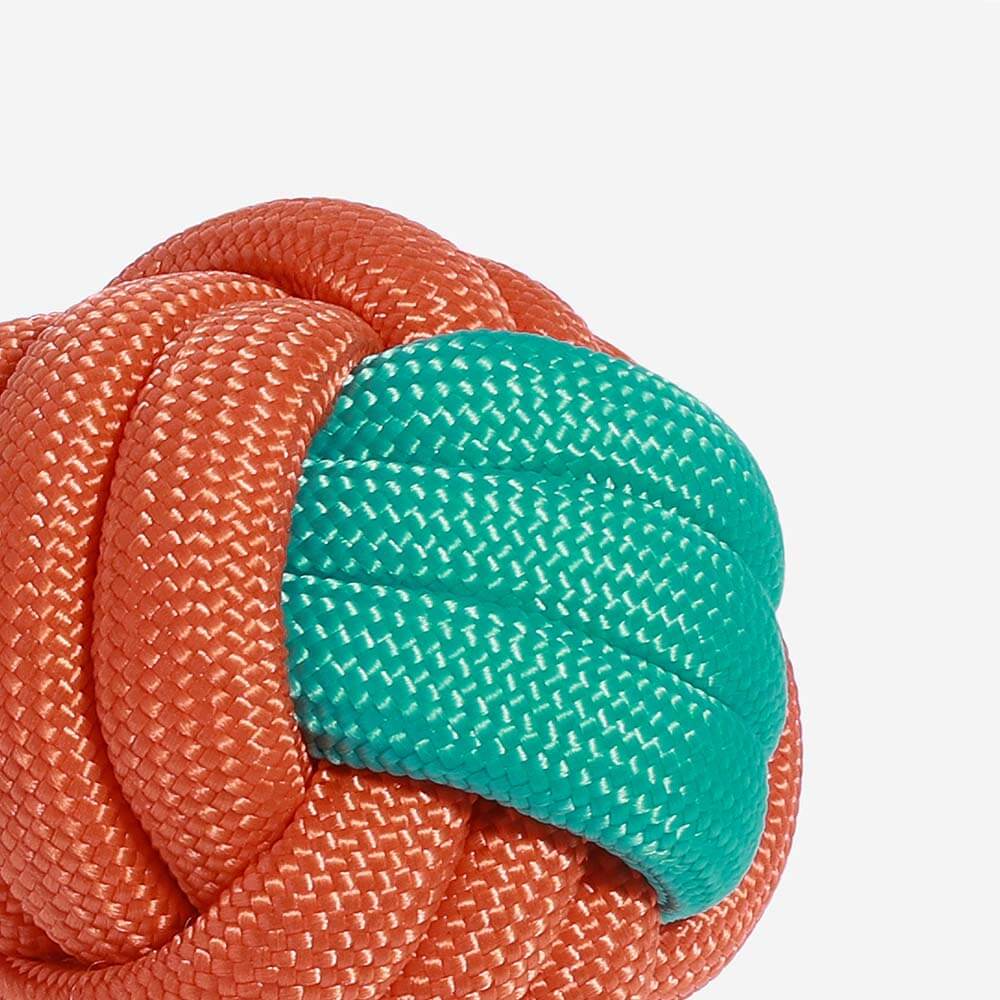 Knots Rope Tug Dog Toy - Color Clash - FUNNYFUZZY