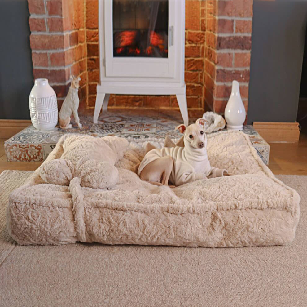 Warming Fluffy Bone Cloud Shape Calming Dog Bed - FUNNYFUZZY
