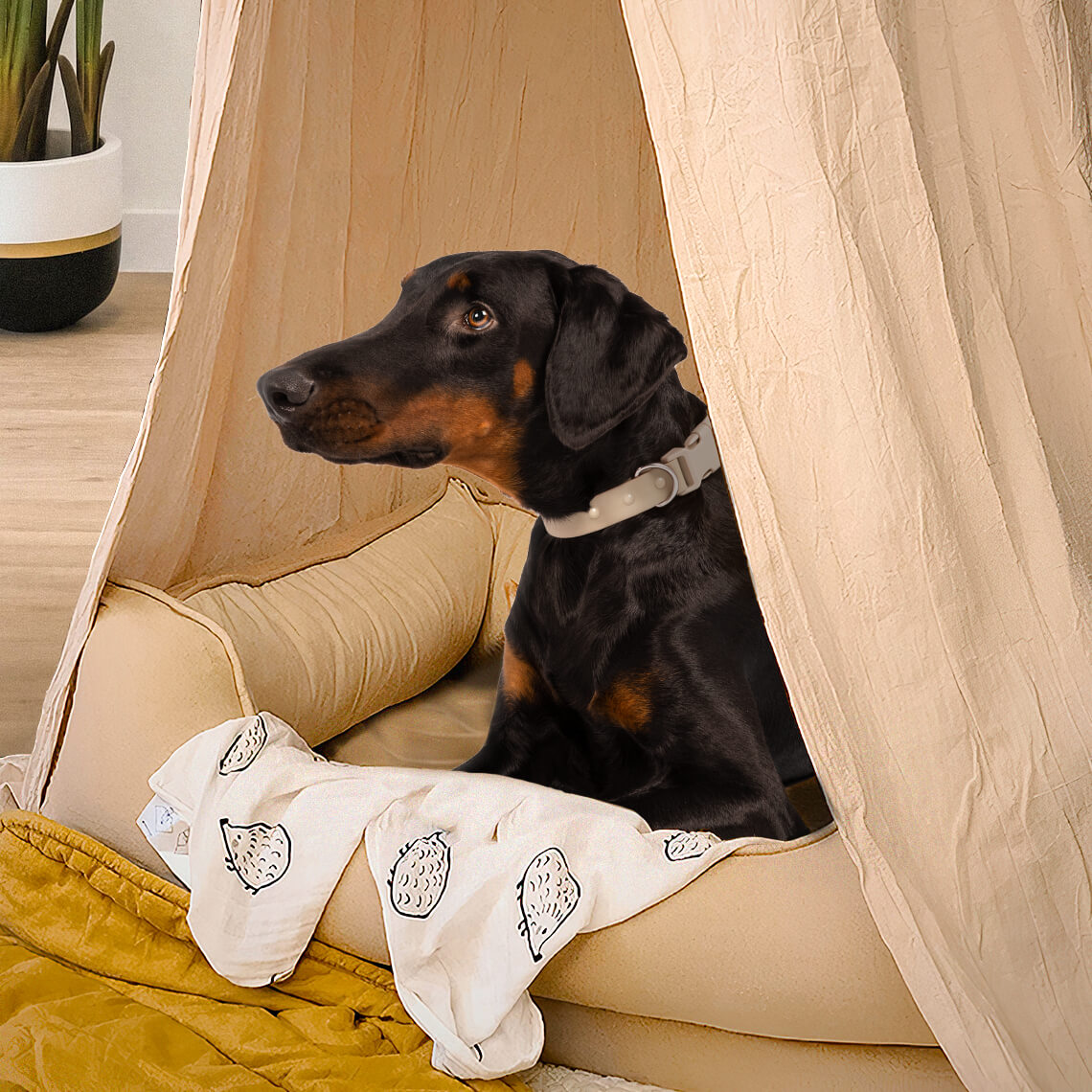 Stylish Soft Cozy Dog Tent Dog Teepee - FUNNYFUZZY