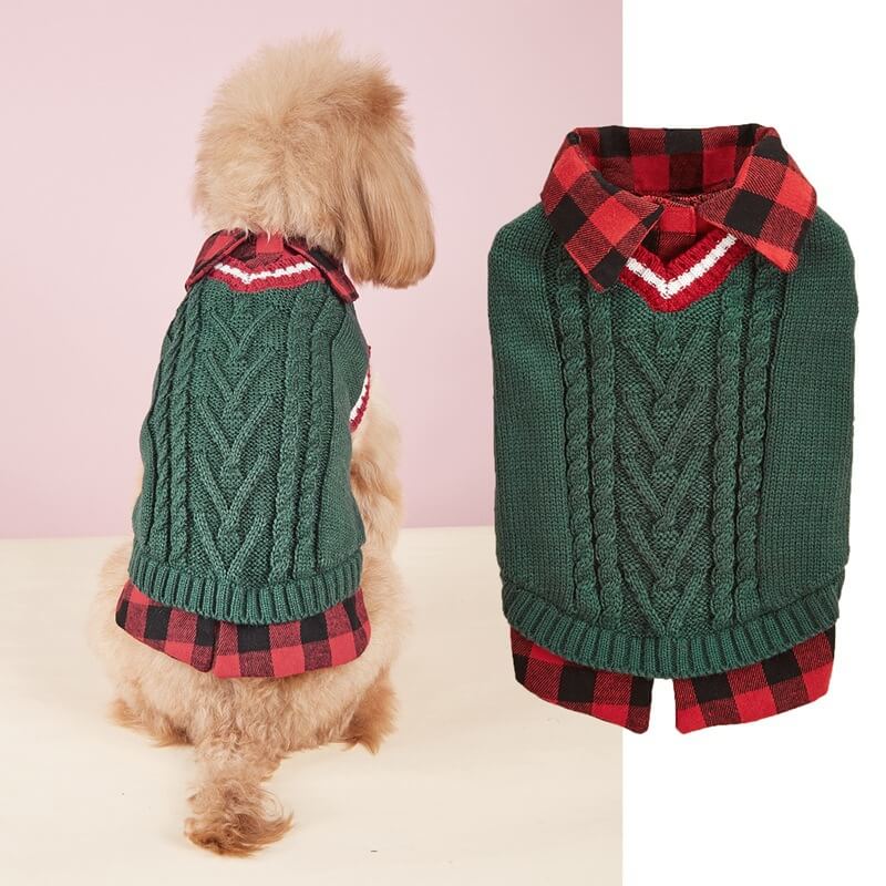 Gilet pull en tricot torsadé pour chien, parfait pour l'automne et l'hiver