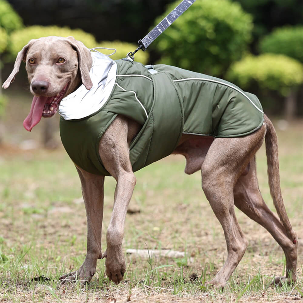 Veste épaisse réfléchissante imperméable et chaude à col haut pour chien