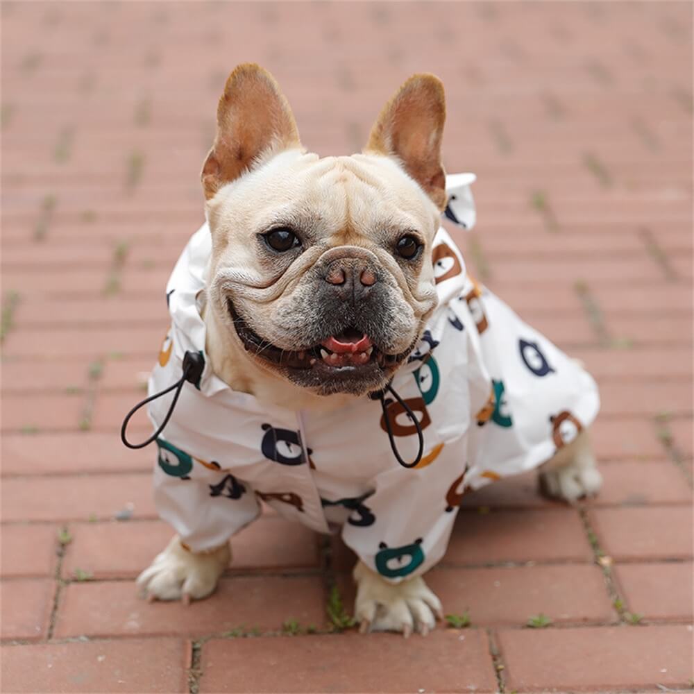 Pet Waterproof Raincoat with Umbrella Bear Design All-Season Thin Summer Dog Clothes