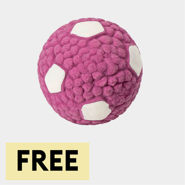 Pet de látex bola chirriante