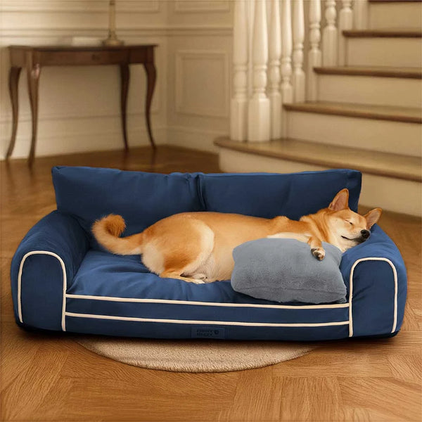Deluxe Silk Velvet extraíble Bed ortopédico para perros con almohada - Regalrest