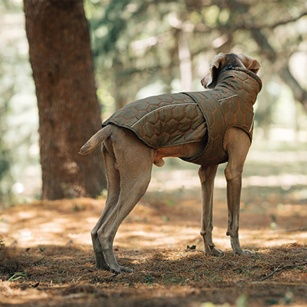 Gesteppte Outdoor-Hundeweste – warm und langlebig für Wanderungen und Abenteuer