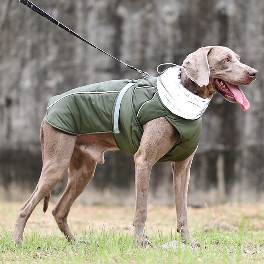 Veste épaisse réfléchissante imperméable et chaude à col haut pour chien