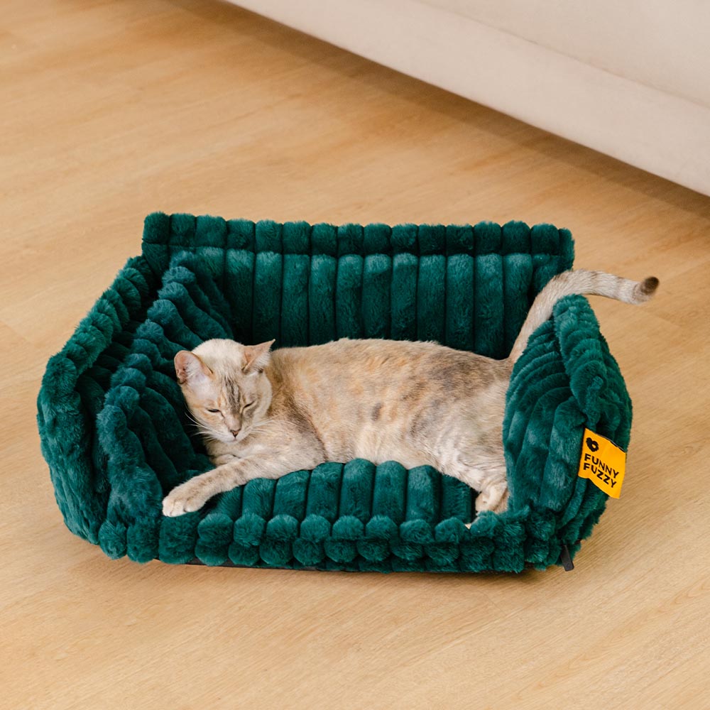 Grande cuscino lavabile per cani, morbido ortopedico, soffice divano letto per cani: sogno snoozy