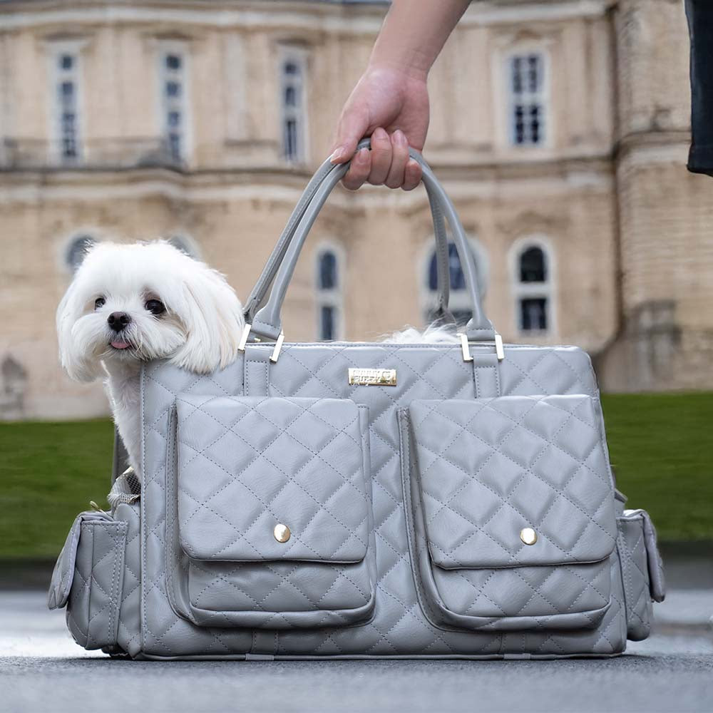 Grand sac de transport élégant et multifonctionnel pour animaux de compagnie, voyage partagé homme-chien - Queue errante