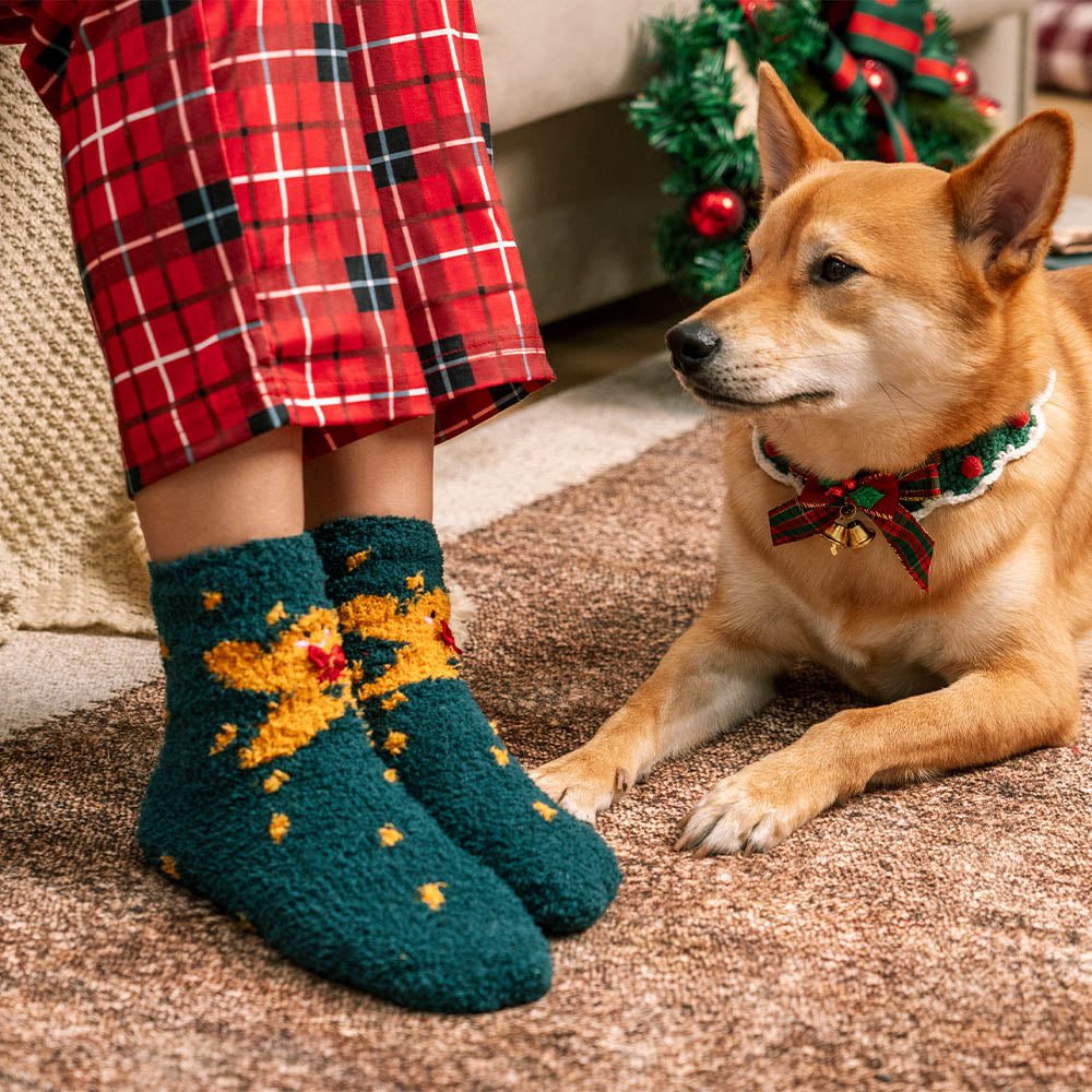 Christmas Santa Claus Knitted Scarf Matching Socks For Pet And Owner