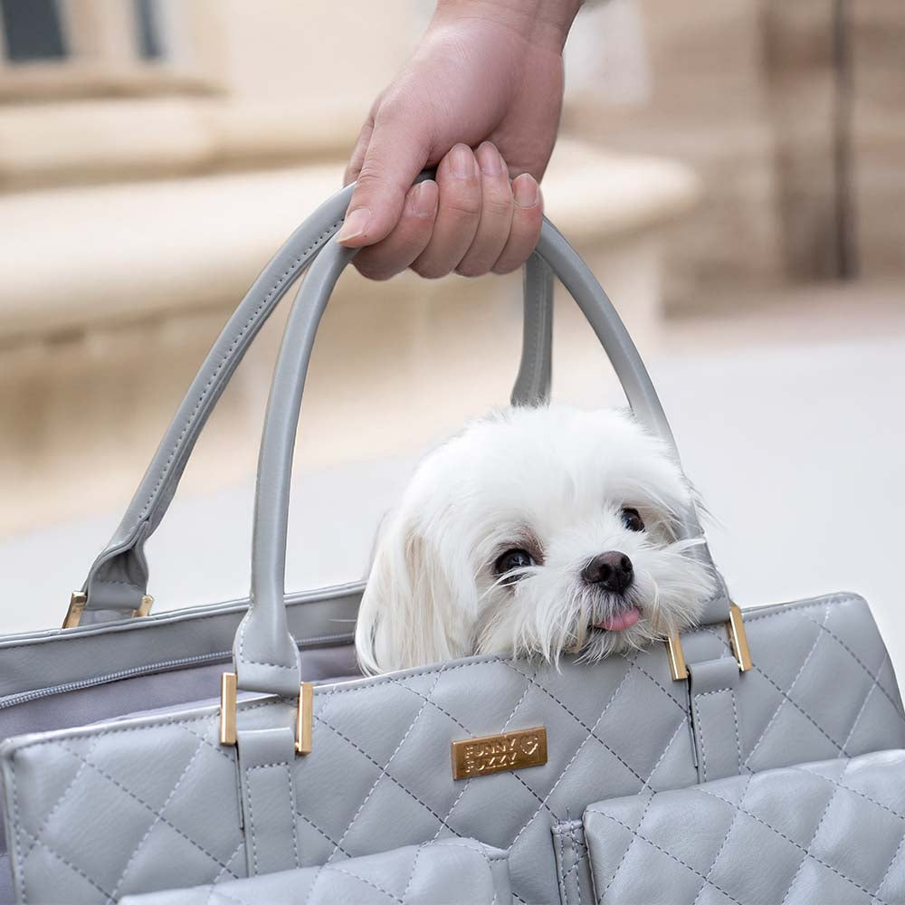 Grand sac de transport élégant et multifonctionnel pour animaux de compagnie, voyage partagé homme-chien - Queue errante