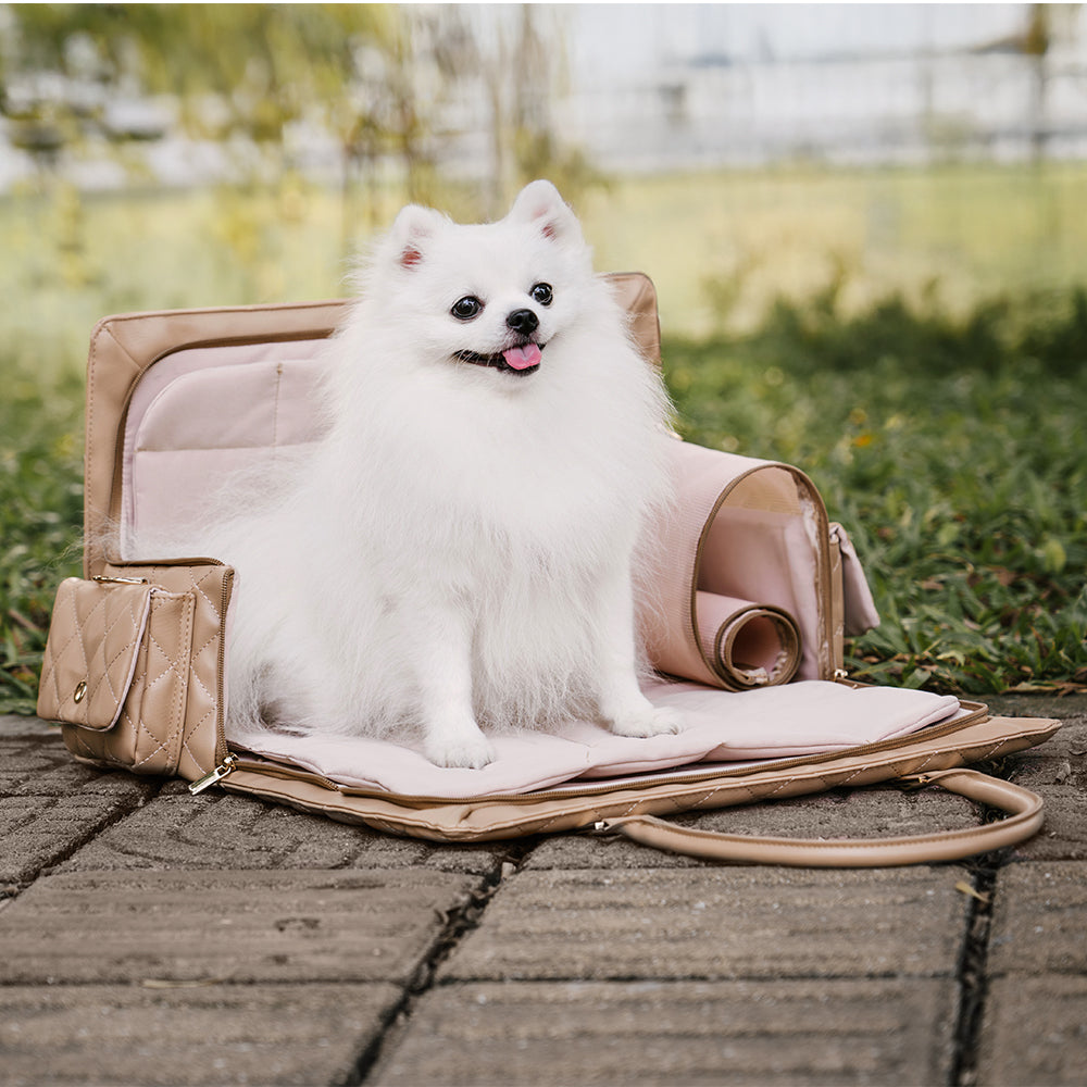 Grand sac de transport élégant et multifonctionnel pour animaux de compagnie, voyage partagé homme-chien - Queue errante