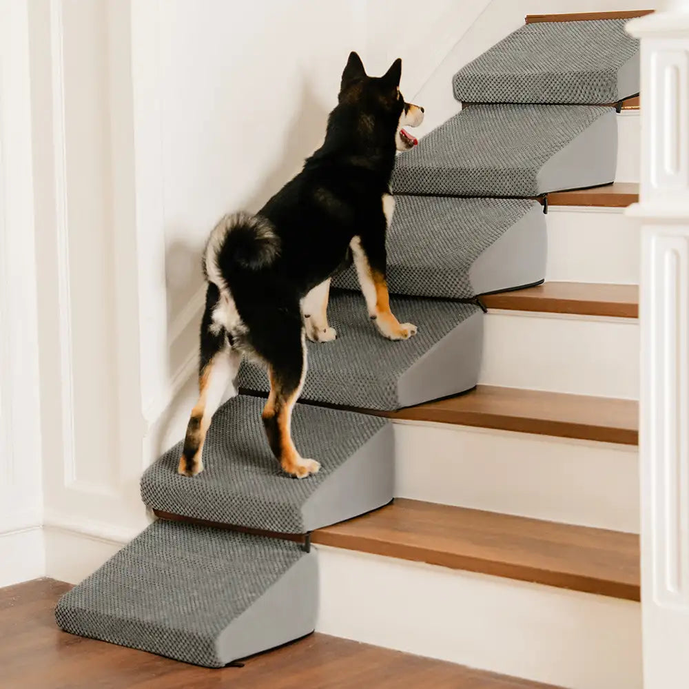 Escaleras de rampa para perros de espuma modular para escaleras de escalera con velcro