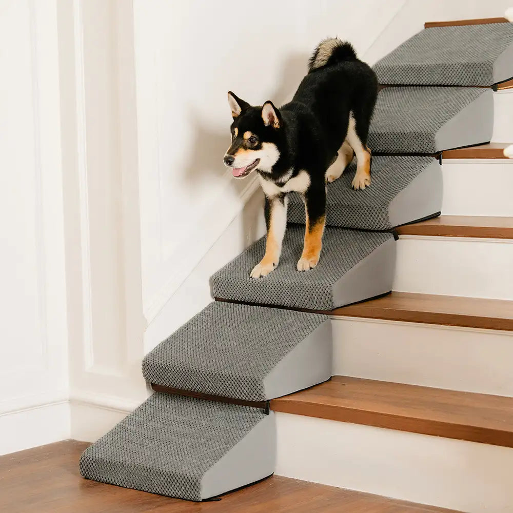 Escaleras de rampa para perros de espuma modular para escaleras de escalera con velcro