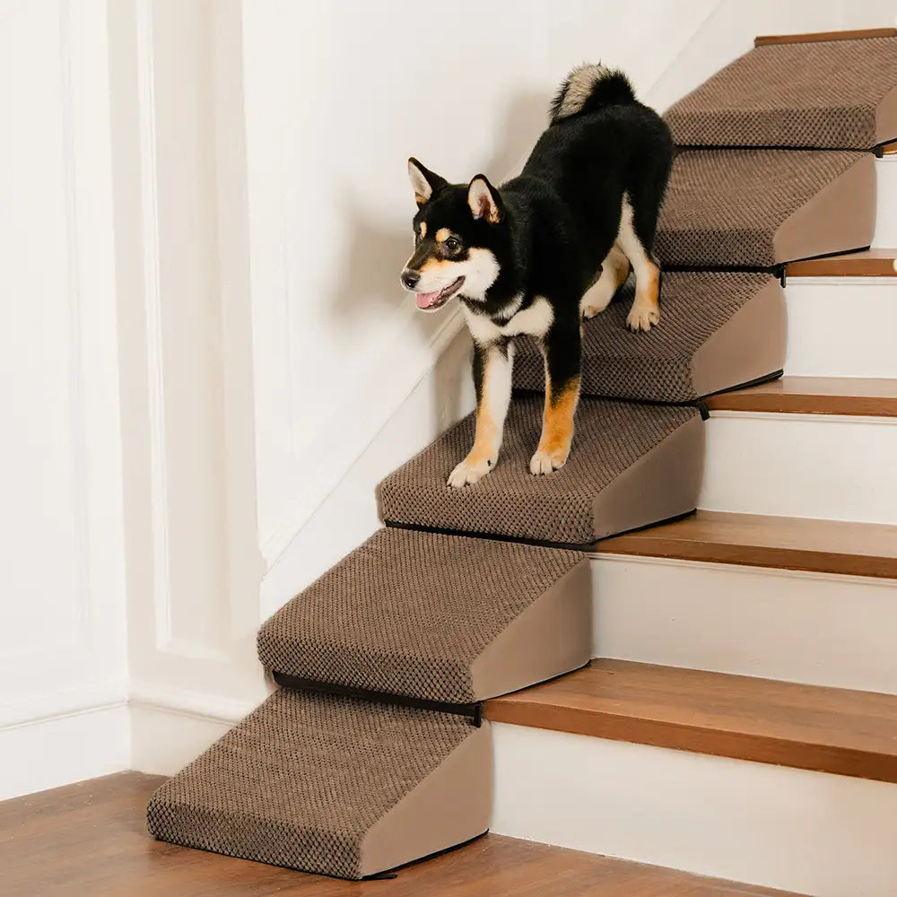 Escaleras de rampa para perros de espuma modular para escaleras de escalera con velcro