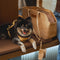 Vogue Eco -friendly DuPont Waterproof Pet Carrier - City Roamer