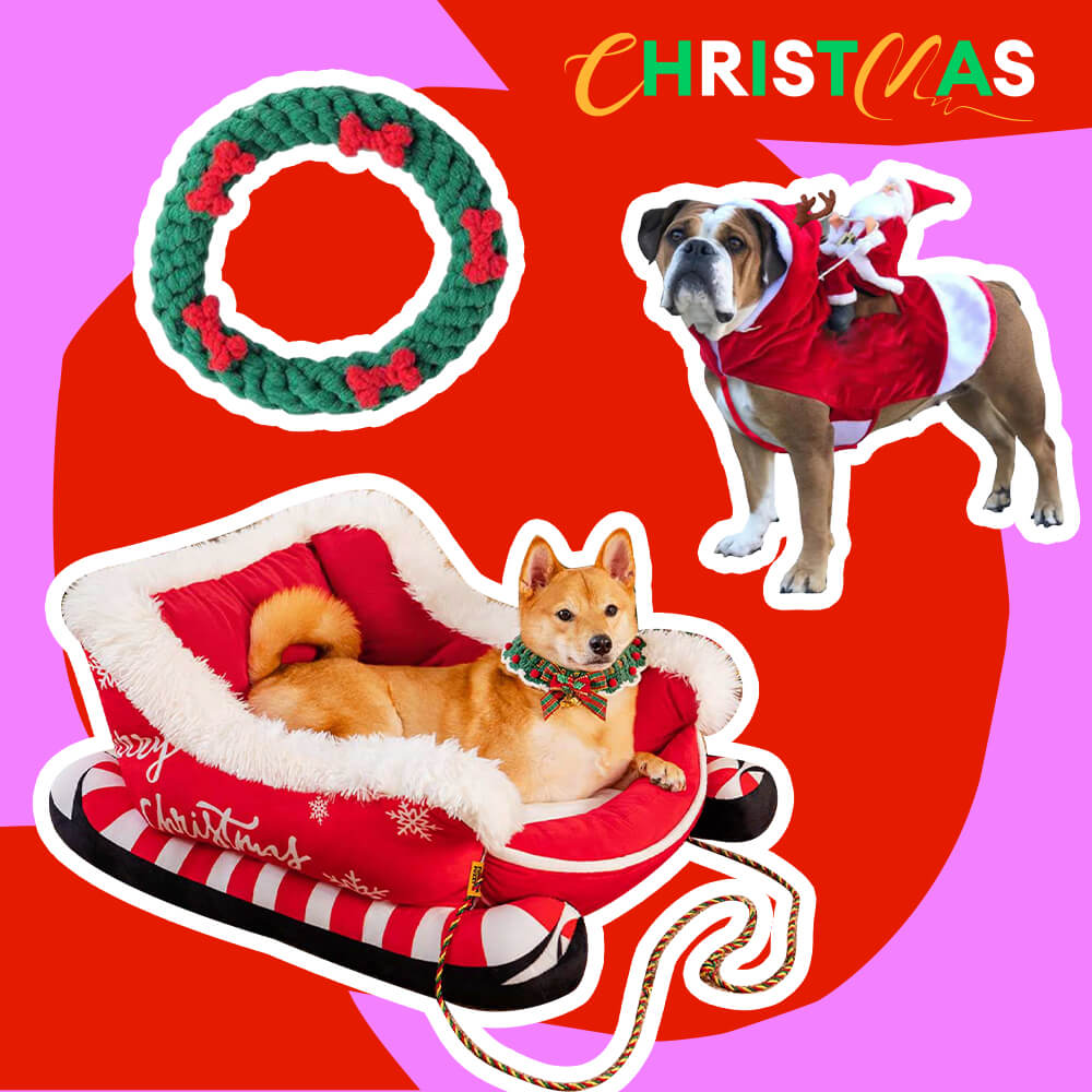 Weihnachtsschlitten-Hundebett - Geschenkpaket 3-tlg