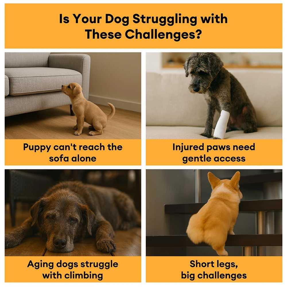 Escaleras de rampa para mascotas extraíbles de esponja de alta densidad a cuadros - COMFYCLIMB