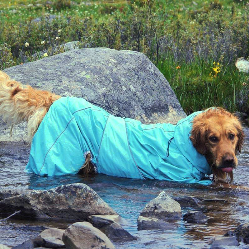 Outdoor-Jacke für große Hunde, wasserdichter, verstellbarer Hunde-Regenmantel