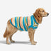 Color Blocked Striped Dog Sweater-Suitable For Large Dogs