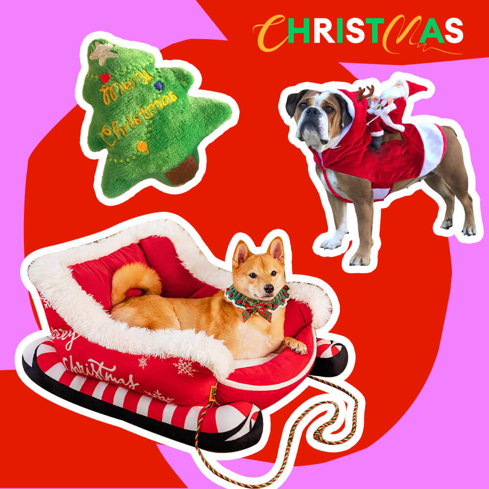 Weihnachtsschlitten-Hundebett - Geschenkpaket 3-tlg