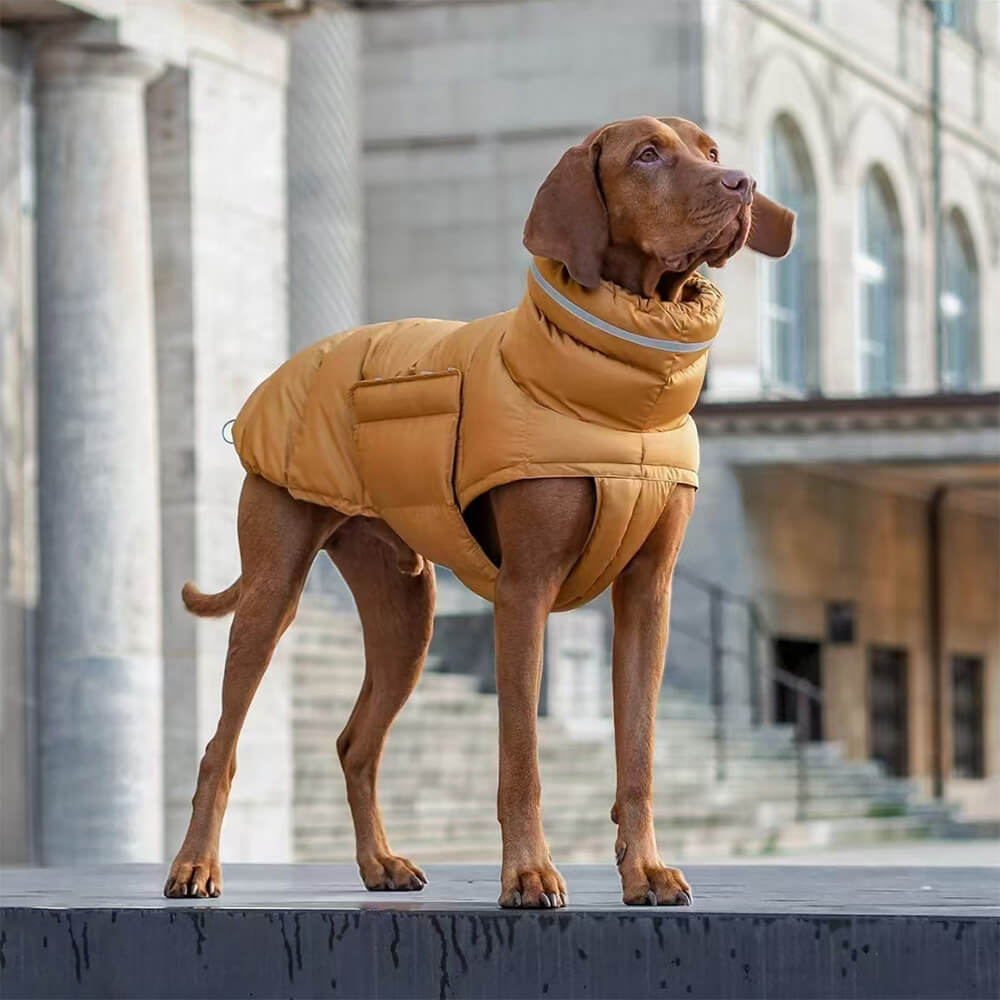 Gilet chaud imperméable et coupe-vent – ​​Le nec plus ultra en matière de chaleur et de style hivernal