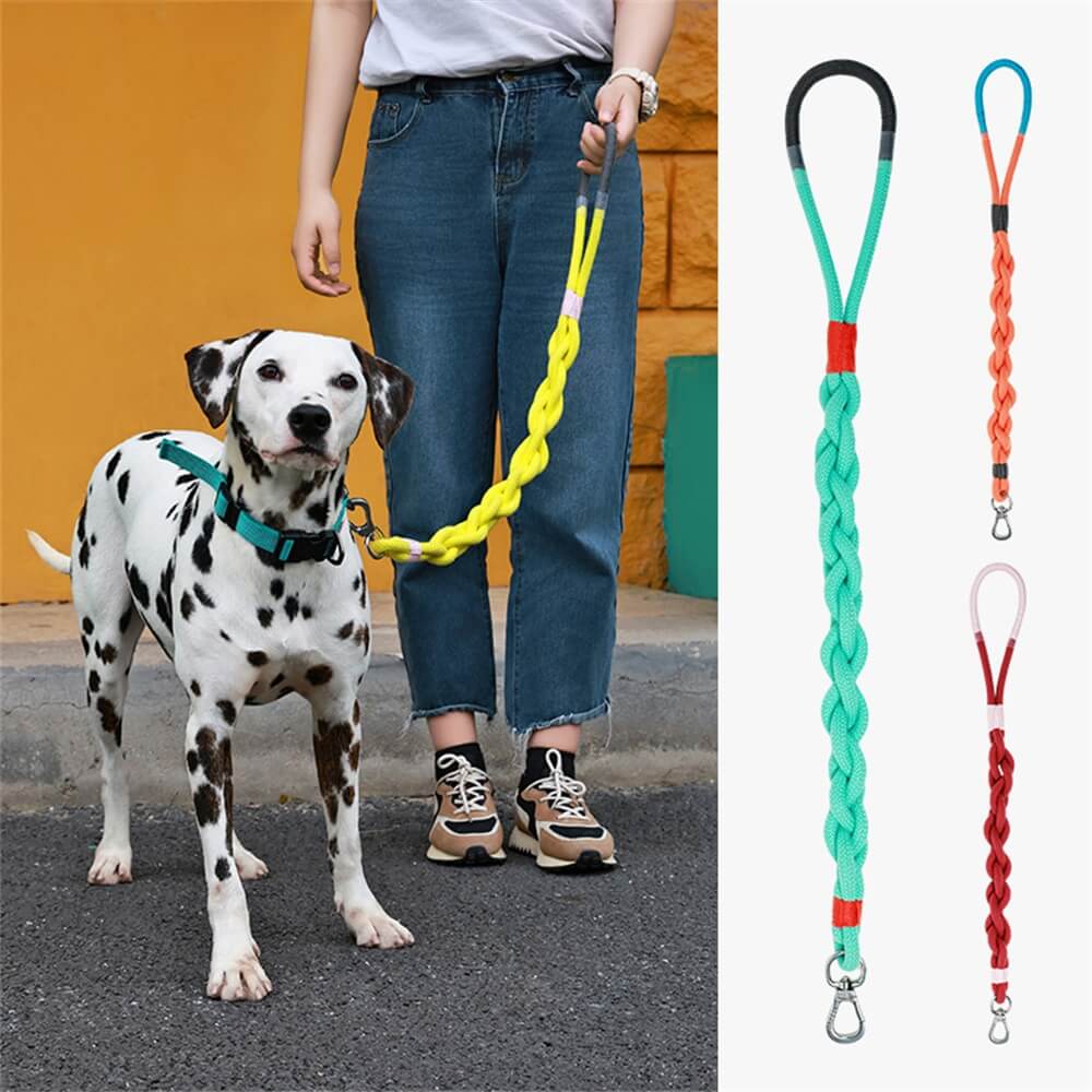 Corde de traction pour chien tissée à la main – Épaisse et durable pour des promenades confortables