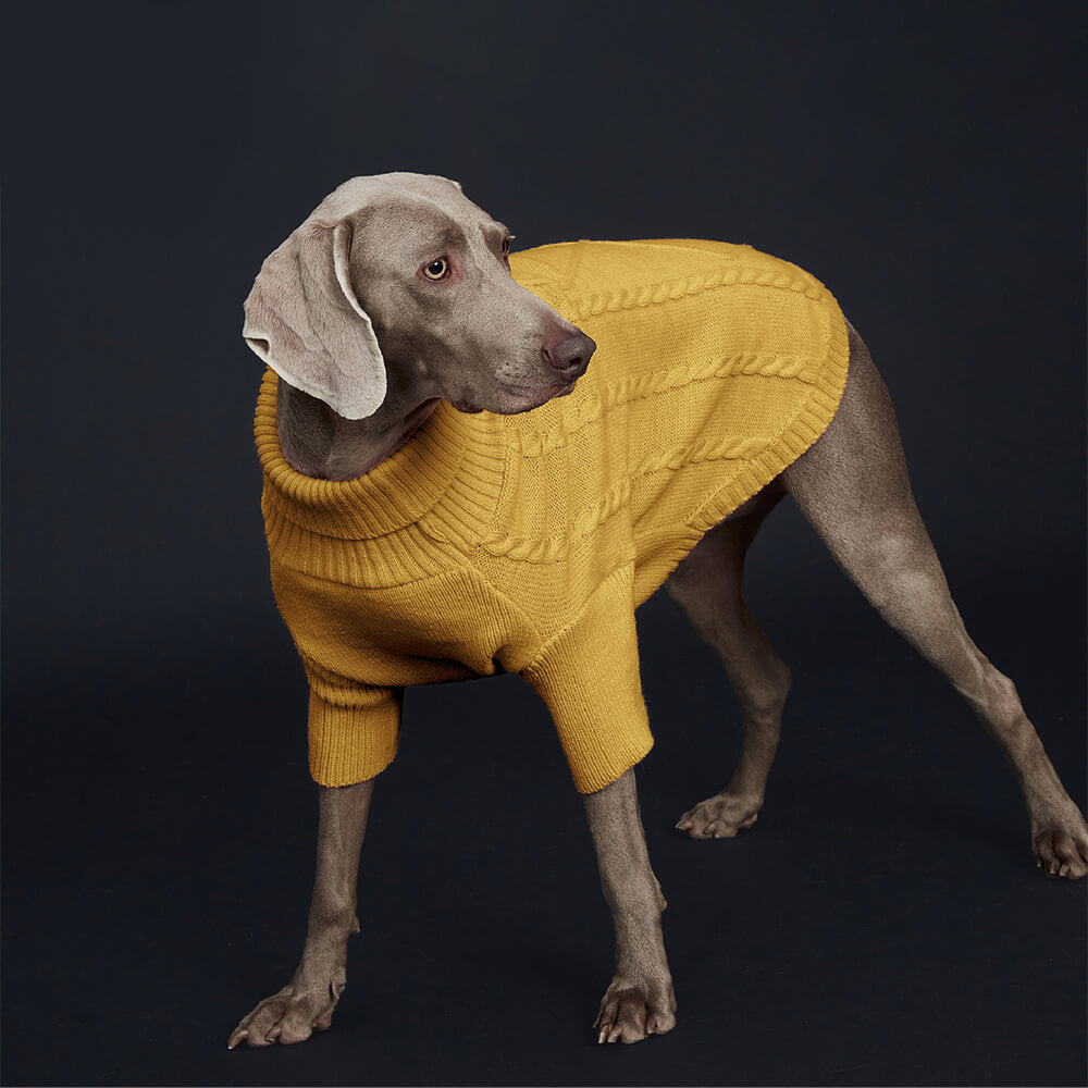 Cable Knit Dog Sweater - Warm and Stylish for Large Breeds