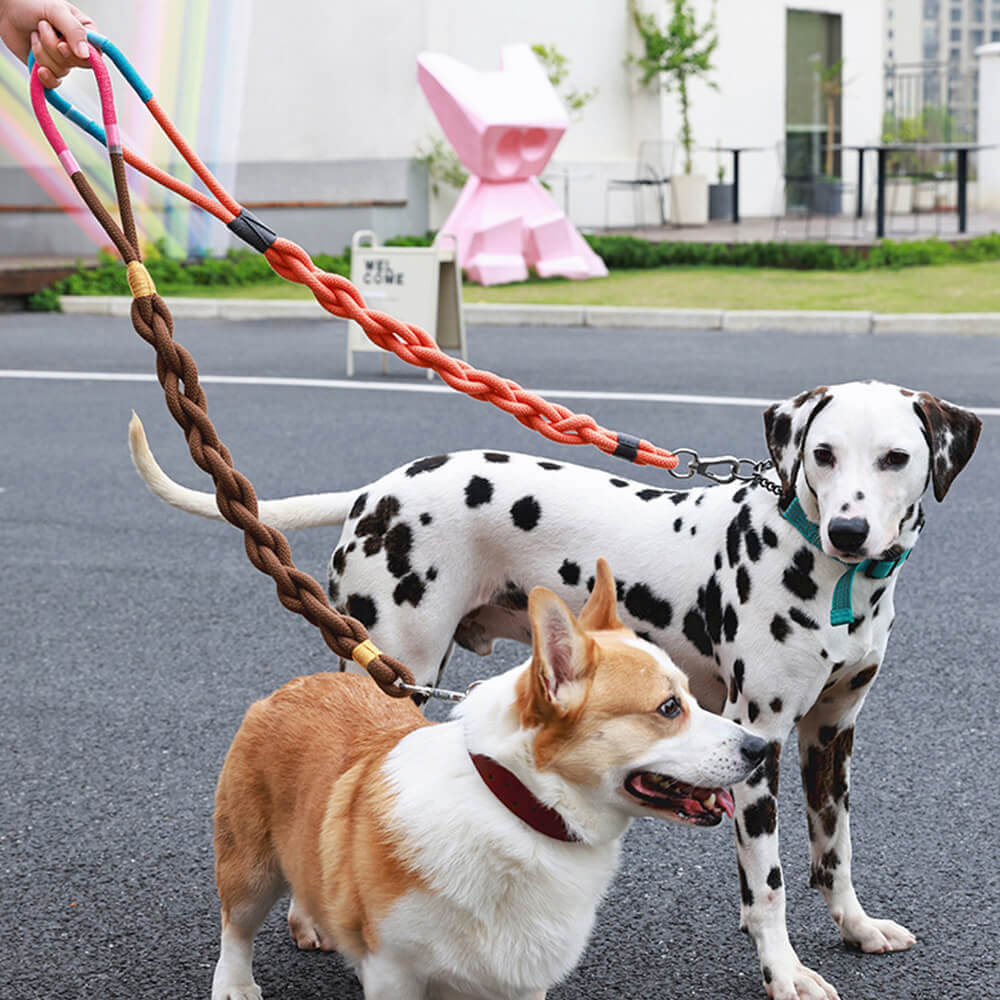 Corde de traction pour chien tissée à la main – Épaisse et durable pour des promenades confortables